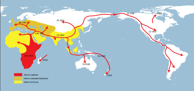 _Homo sapiensin_ yeryüzünde yayılmasını gösteren harita. _Homo sapiens_ kırmızı oklarla gösterilmiştir (gitgide tüm dünyaya yayılmaları gösteriliyor).  _Homo neanderthalensis_ günümüzki Avrupa ve Orta Doğru topraklarında, turuncu ile gösterilmiştir ve _Homo erectus_ ise sarı renkle Afrika, Güney Asya ve Güneydoğu Asya'da görülüyor.