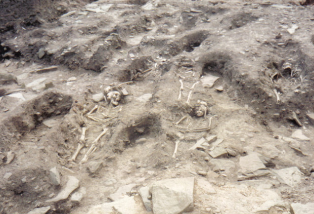 Whithorn Priory, İskoçya'da arkeolojik bir kazı sonrasında bulunan iskeletlerin fotoğrafı. Bu tepede yaklaşık 5 insan iskeleti kalıntıları görülebilir.
